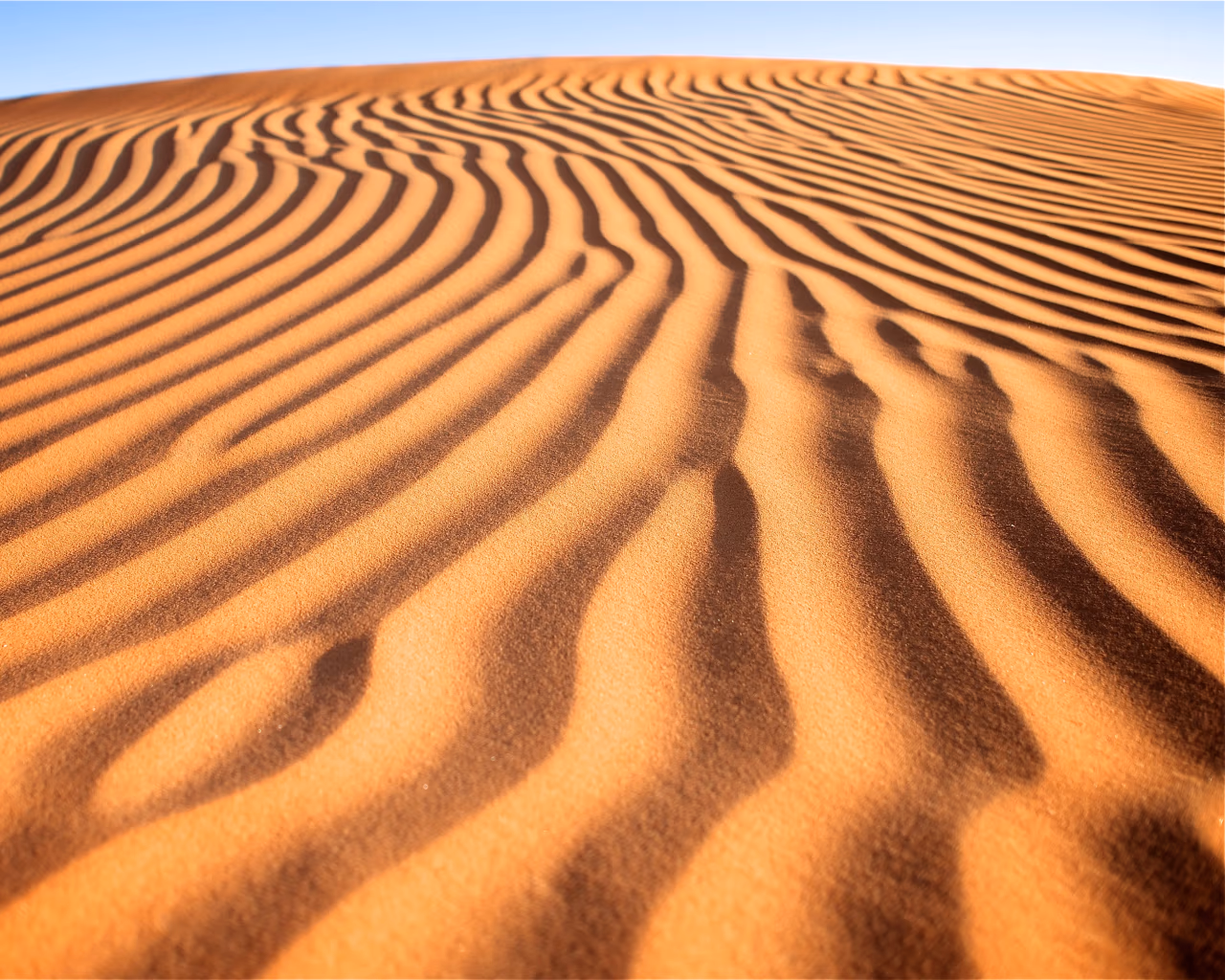 Golden sand dunes with wind-formed ripples in the desert