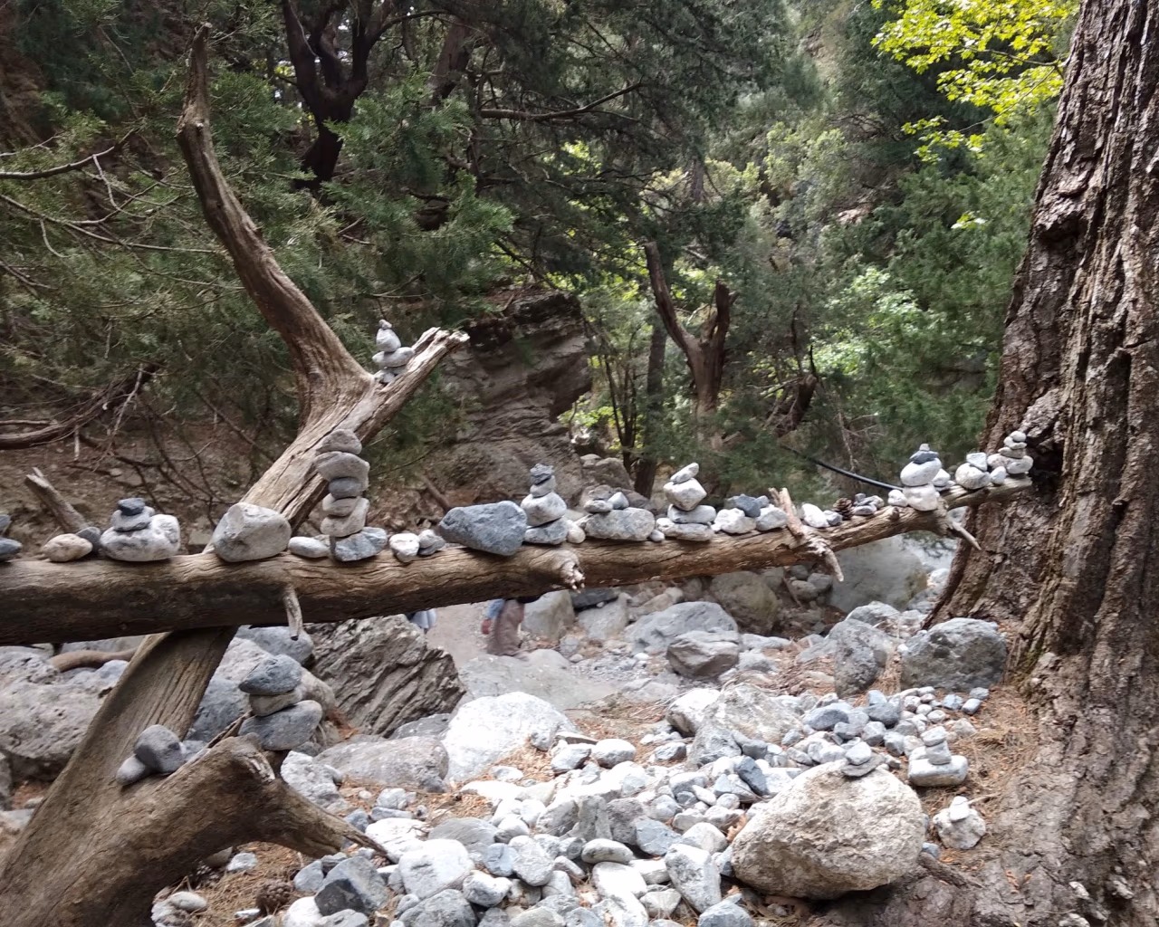 Small stacked stones balanced on a tree trunk in a forest trail, symbolic trail markers.