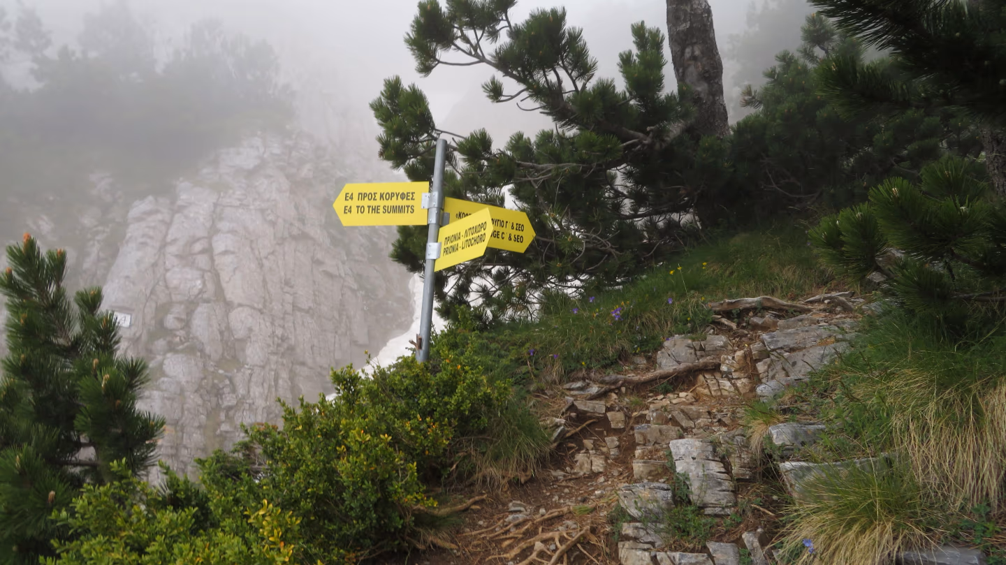 Yellow trail signpost along the E4 trail on Mount Olympus, Greece, surrounded by mist, rocky terrain, and alpine forest.