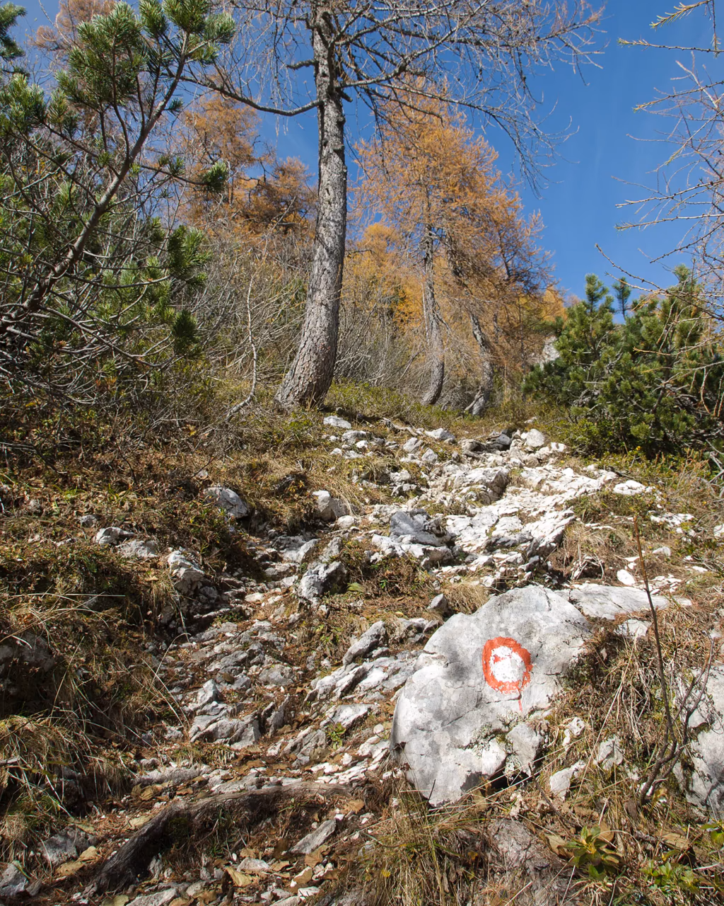Marked hiking trail through rocky alpine forest in the Julian Alps, Slovenia, showcasing autumn foliage and adventure trekking routes.
