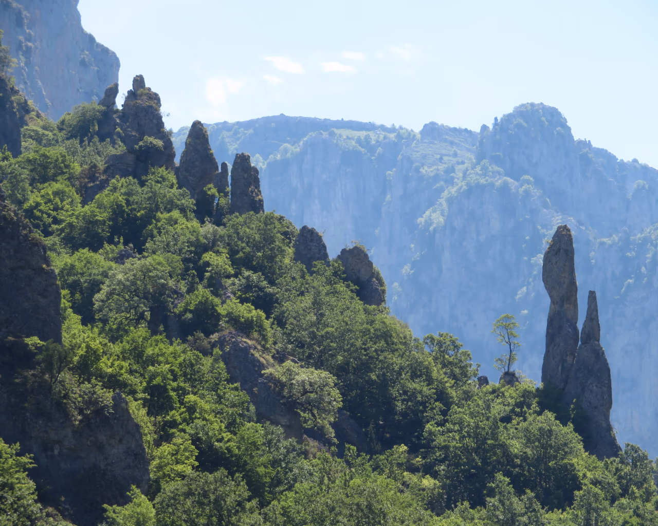 Dramatic rocky peaks rising above lush forest slopes near the famous Vikos Gorge in Epirus, Greece.
