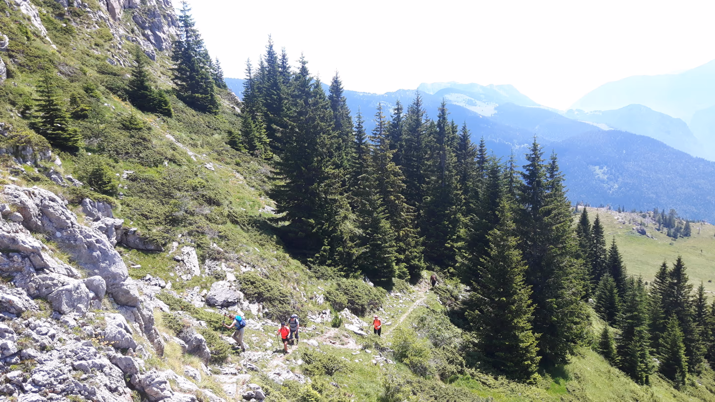 Hikers on a forested mountain trail along Kosovo’s Via Dinarica route, with sweeping views below.