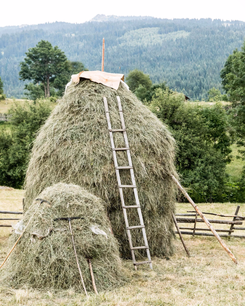 Haystack with wooden ladder in rural Kosovo along the Via Dinarica trail, with forested hills behind.