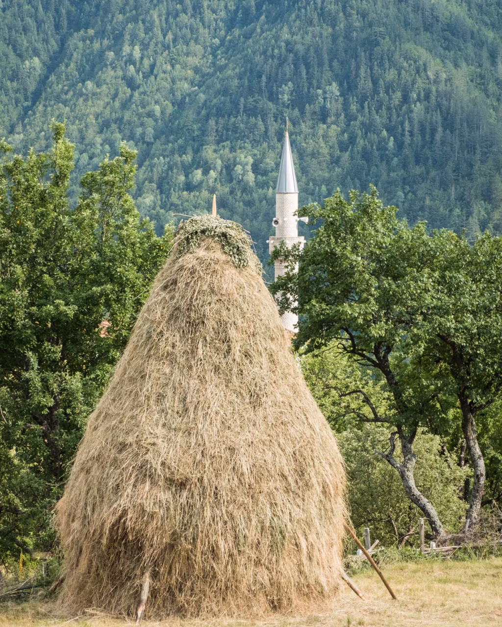 Traditional haystack in Drelaj village, with a mosque minaret peeking through lush greenery in rural Kosovo