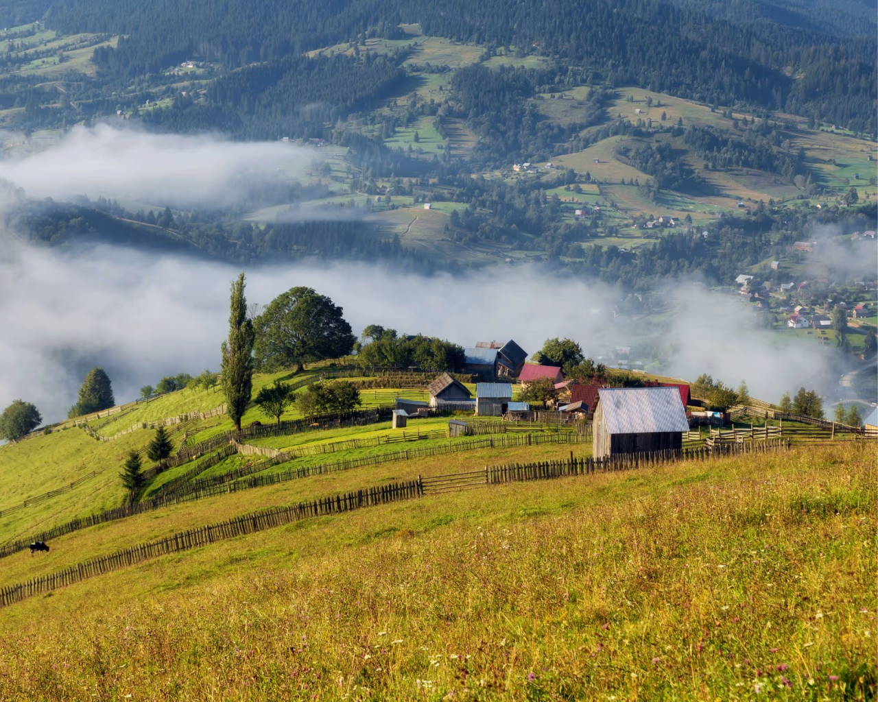 Fog rolling over a rural hillside village in Bucovina, with wooden houses and fences.