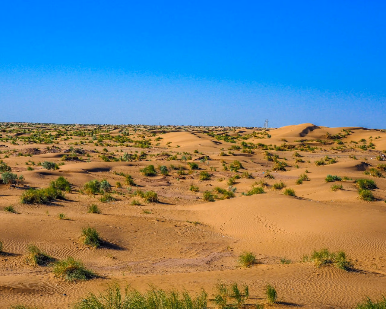 Rolling sand dunes with patches of grass in the Karakum Desert, Turkmenistan.