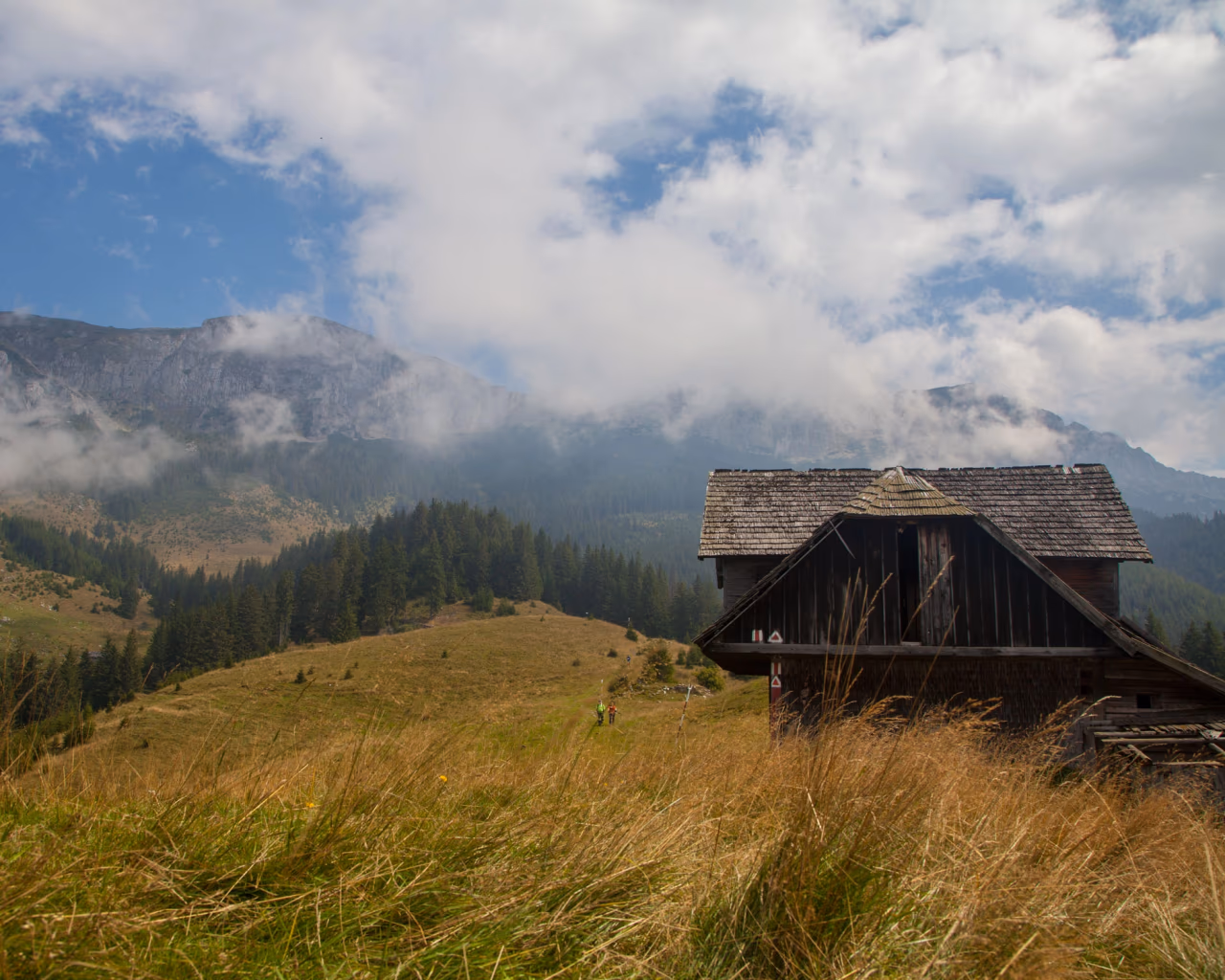 Rustic wooden barn on a grassy slope, mist rolling in from the forested Carpathian peaks behind it.