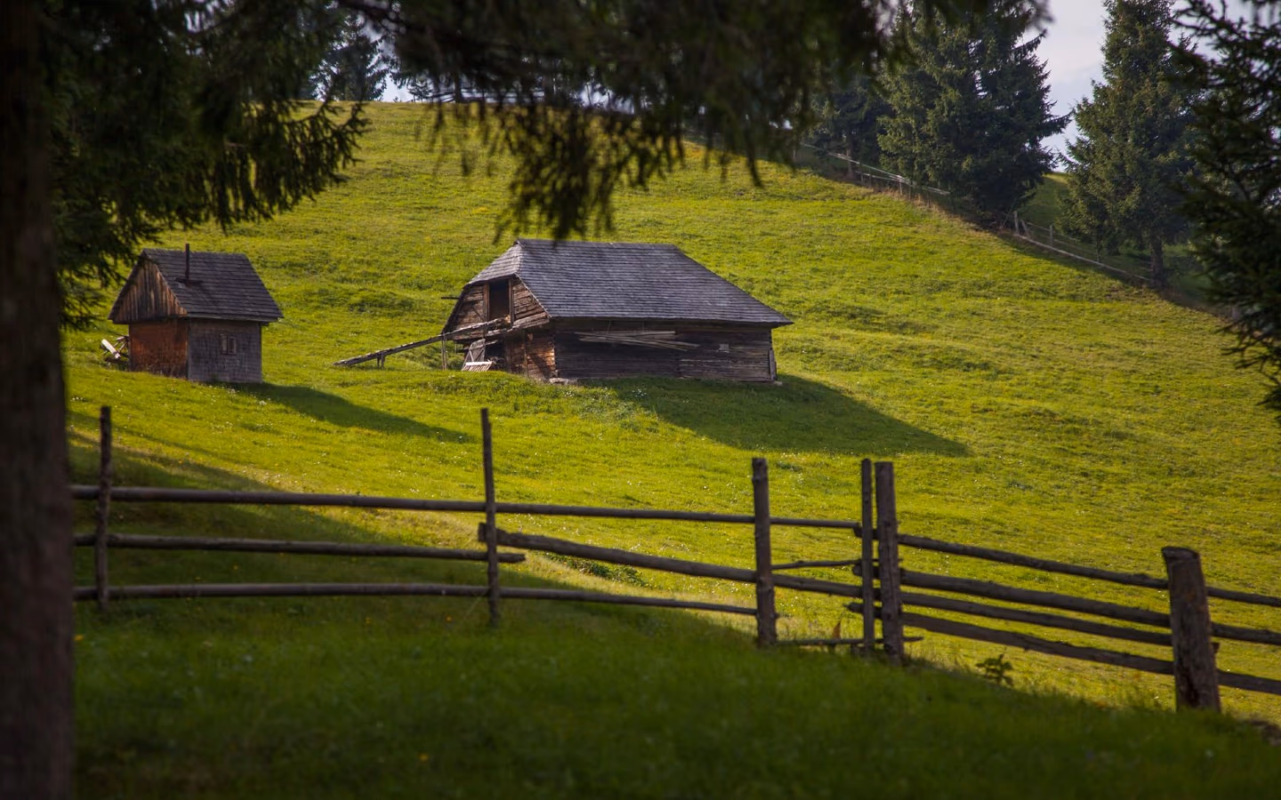 Small wooden cabin on a sunny hillside, with a rustic fence and tree shadows across the bright green grass.