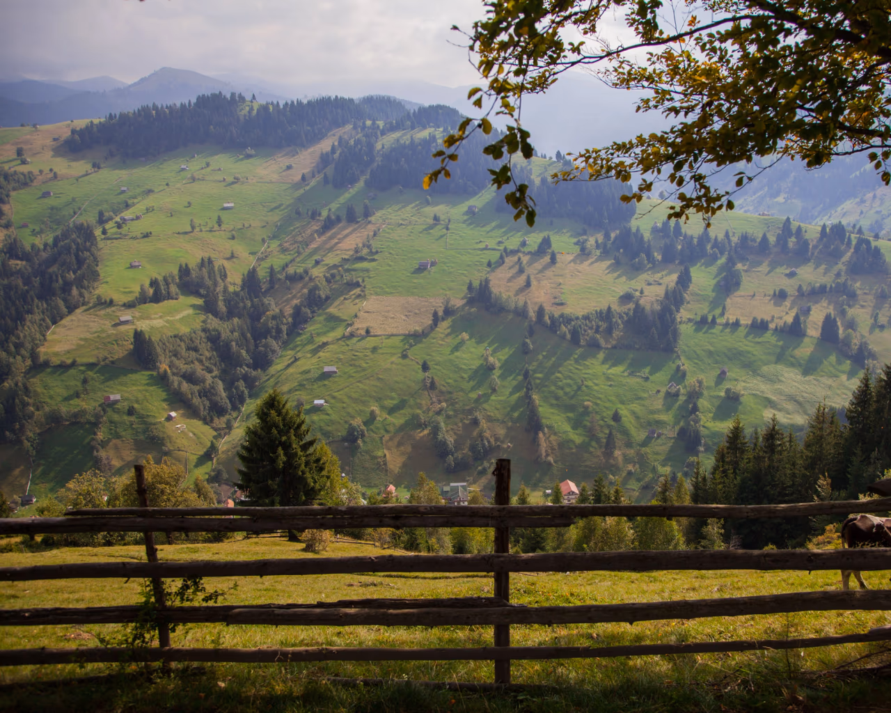 Rustic wooden fence frames a green valley dotted with haystacks, small farms, and forested slopes in the Carpathians.