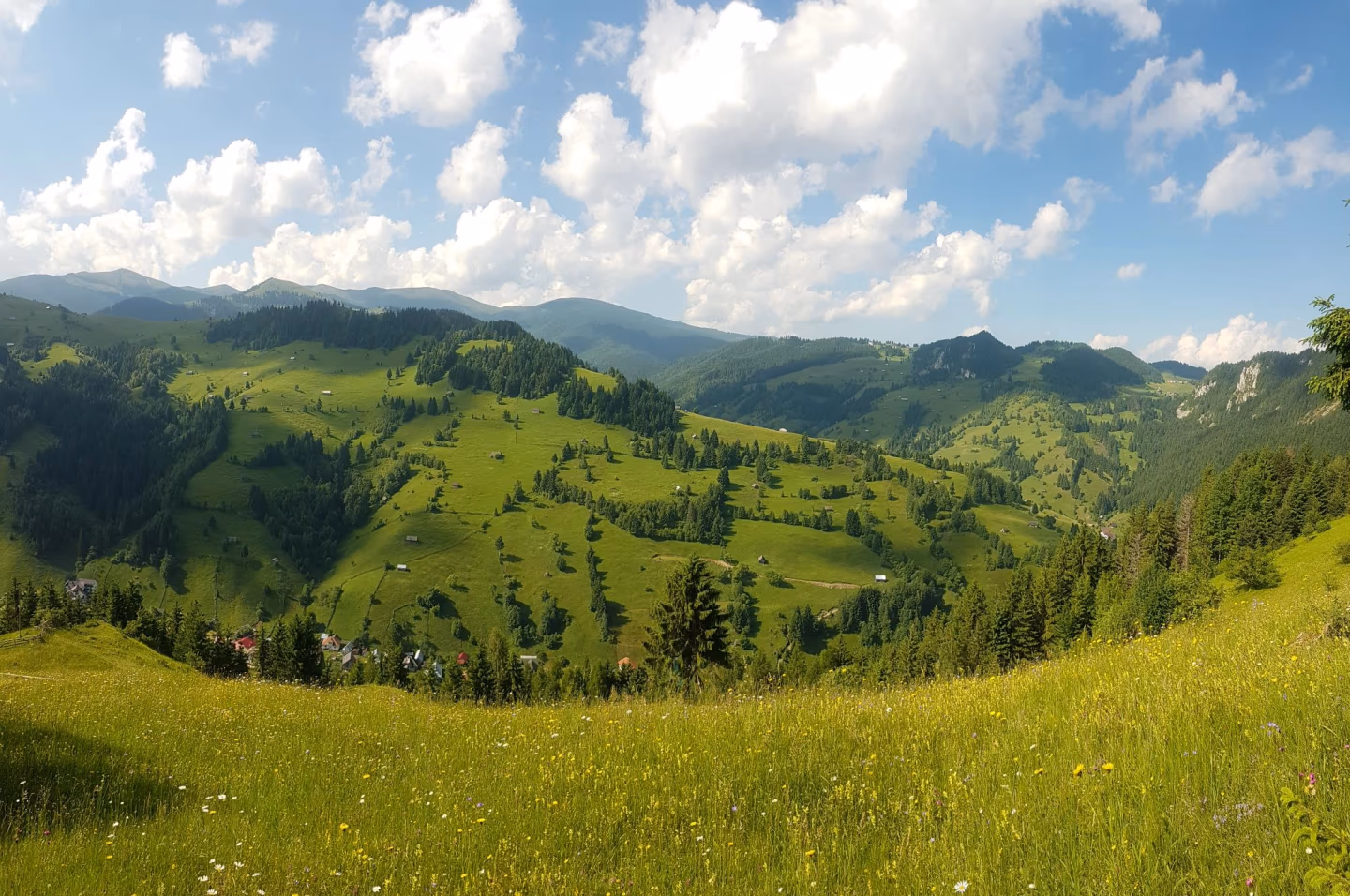 Panoramic view of rolling Carpathian hills covered in green meadows, trees, and scattered farms under a blue sky.