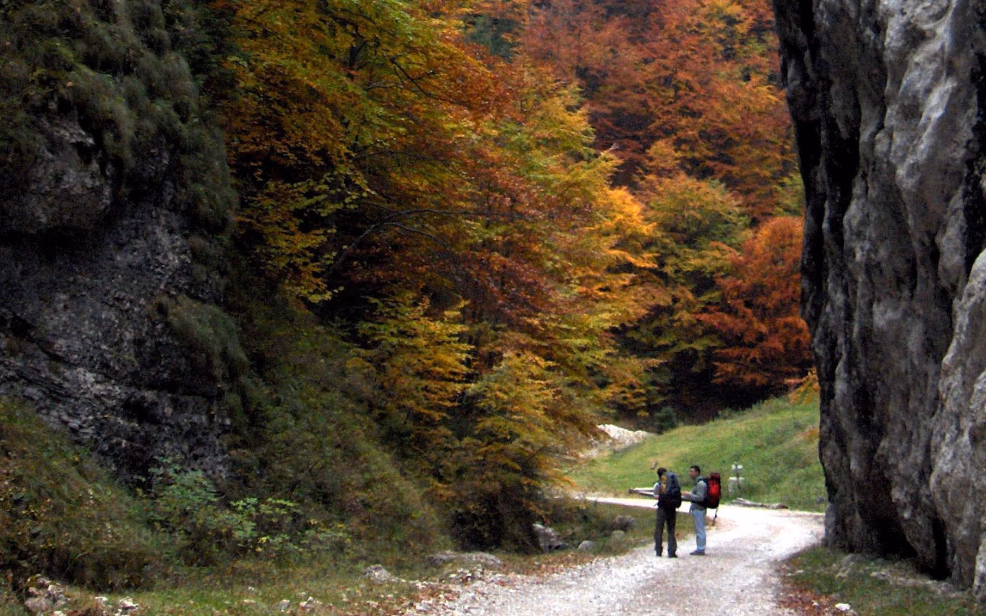 Two hikers with backpacks stand on a gravel path, surrounded by autumn foliage and steep rock cliffs in the Carpathian Mountains.
