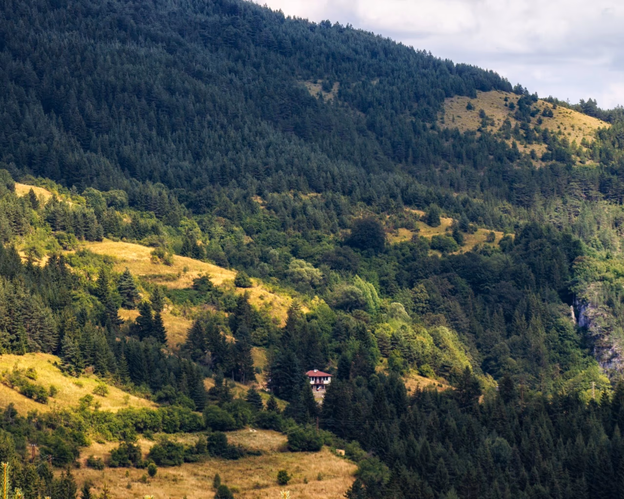Hillside view of Rhodope Mountains covered in forests, with a small red-roofed house nestled among the trees.