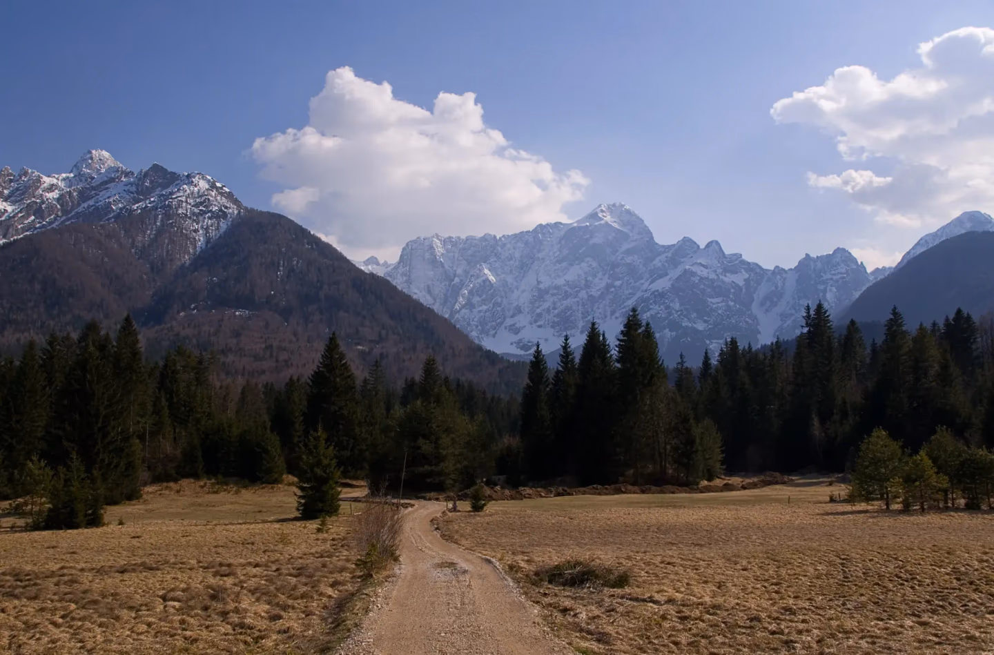 Gravel trail winds through alpine meadow, leading toward snow-capped peaks under a bright sky.