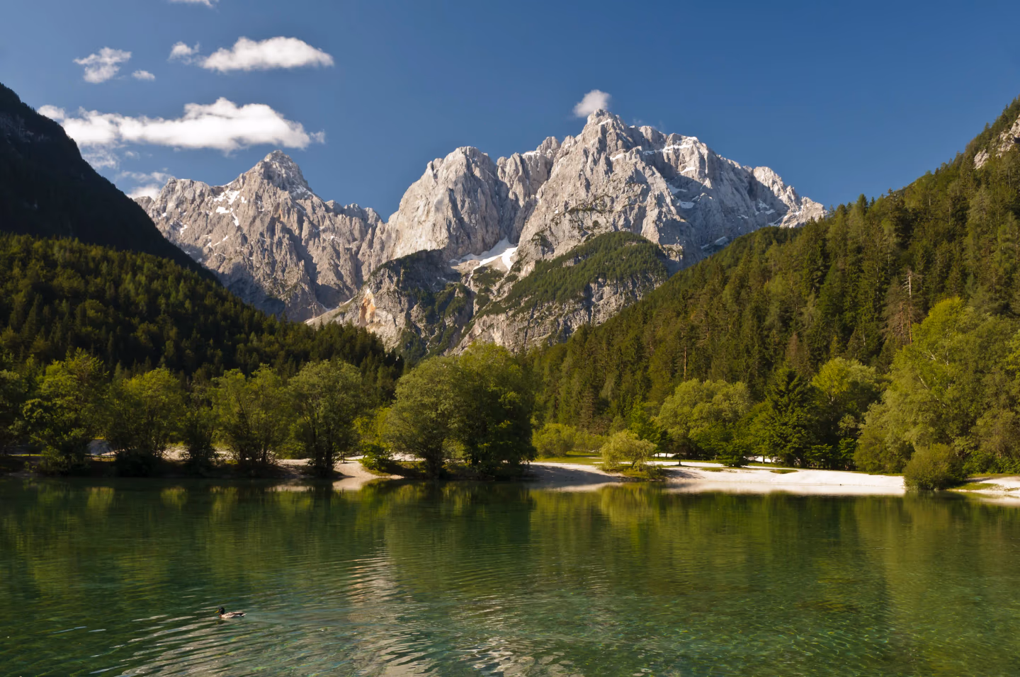 Scenic view of a lush green alpine valley in Slovenia with traditional houses, framed by the majestic snow-capped peaks of the Julian Alps.