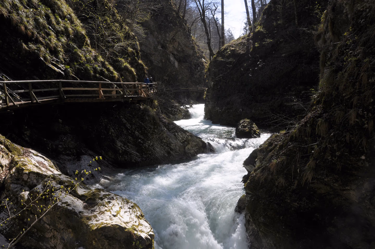 Rushing alpine river flowing through a rocky gorge, with wooden walking bridges for hikers in Slovenia.