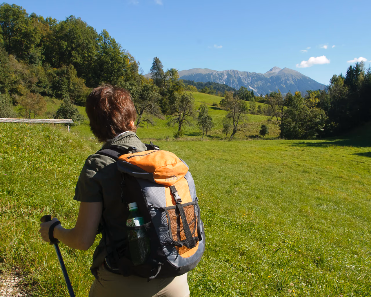 Hiker with orange backpack walks through grassy meadow, with distant peaks under clear blue sky.