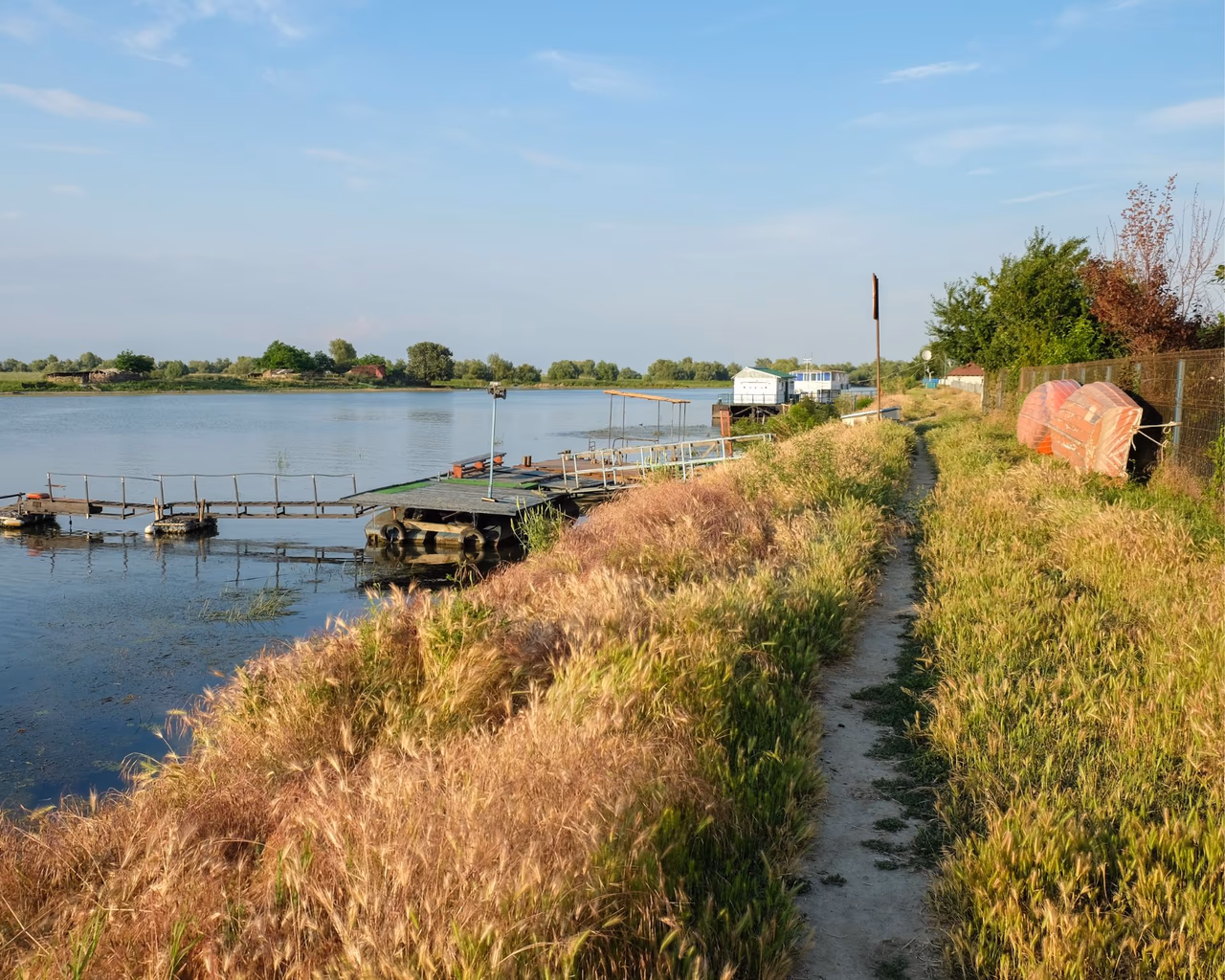 A riverside path lined with tall grass, leading to wooden docks and floating houses in a quiet Danube Delta village.