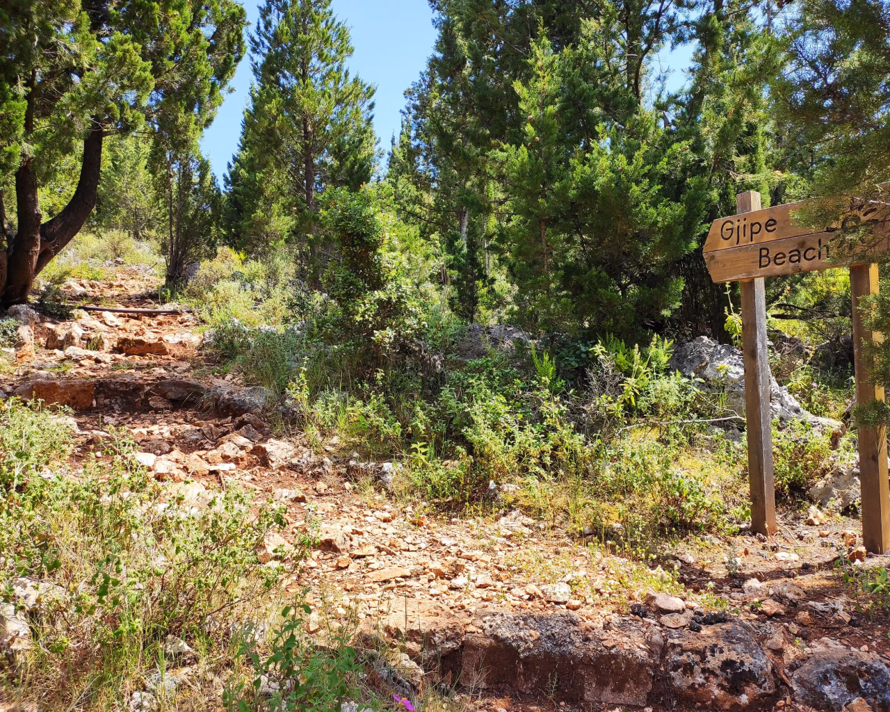 Rocky hiking trail through lush greenery leading to Gjipe Beach, a hidden gem on the Albanian Riviera.