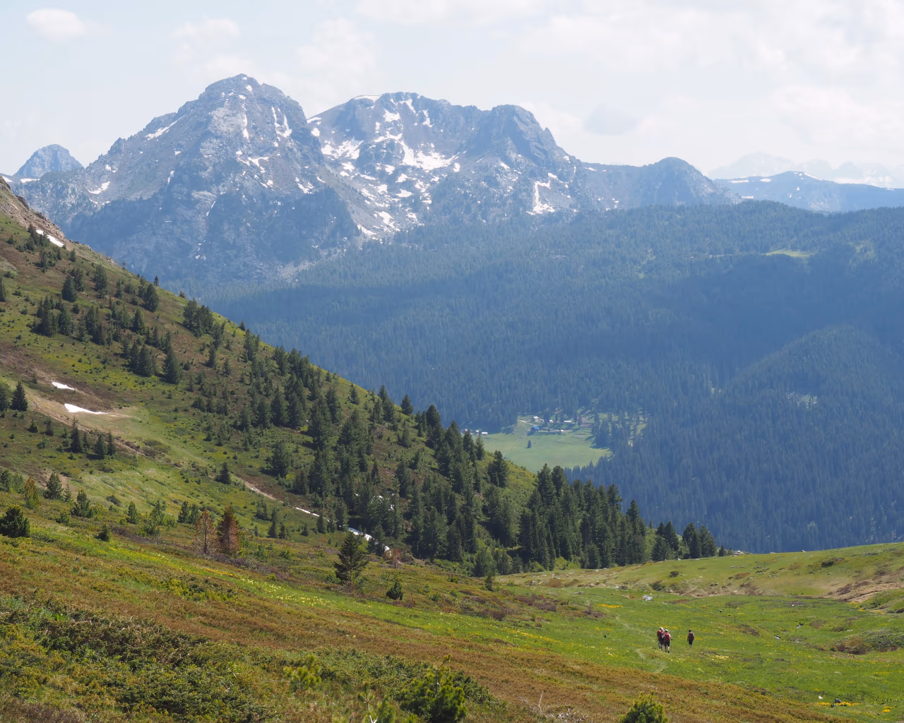 A lush green valley with distant hikers and towering snow-capped peaks in the Accursed Mountains.