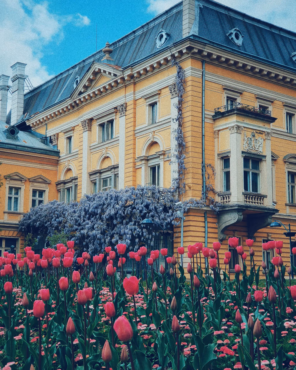 The Palace - National Art Gallery a grand yellow neoclassical building with wisteria vines and pink tulips in Sofia.
