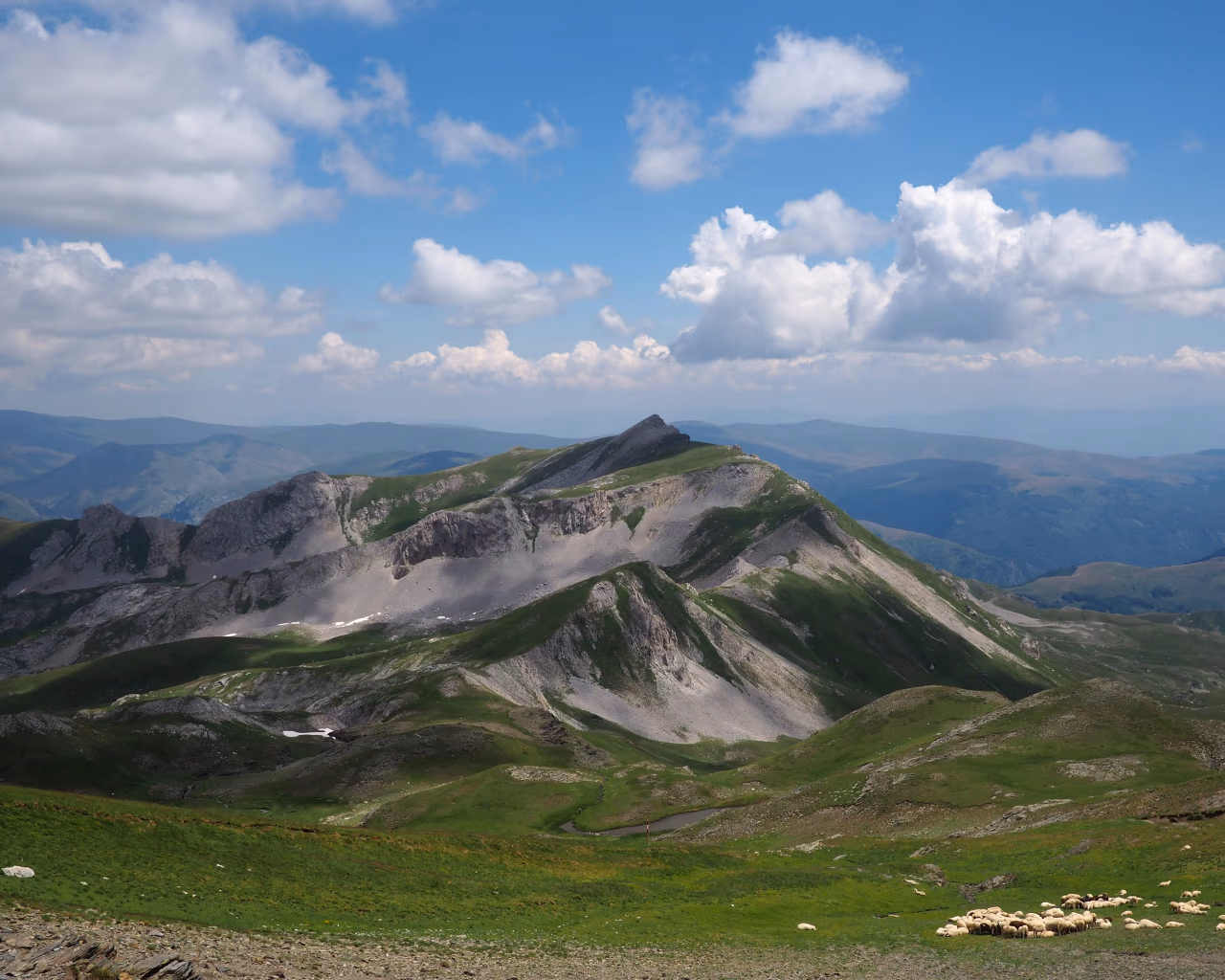 A flock of sheep grazes on a lush mountain ridge, with jagged gray peaks towering under a clear sky.