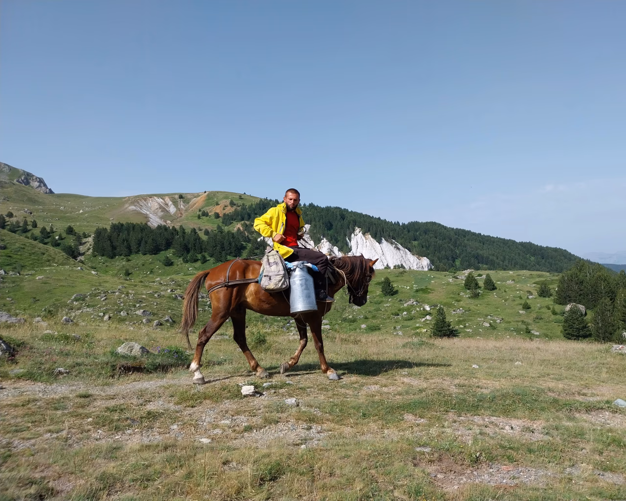 A shepherd in a yellow jacket rides a horse across scenic alpine meadows in High Scardus.