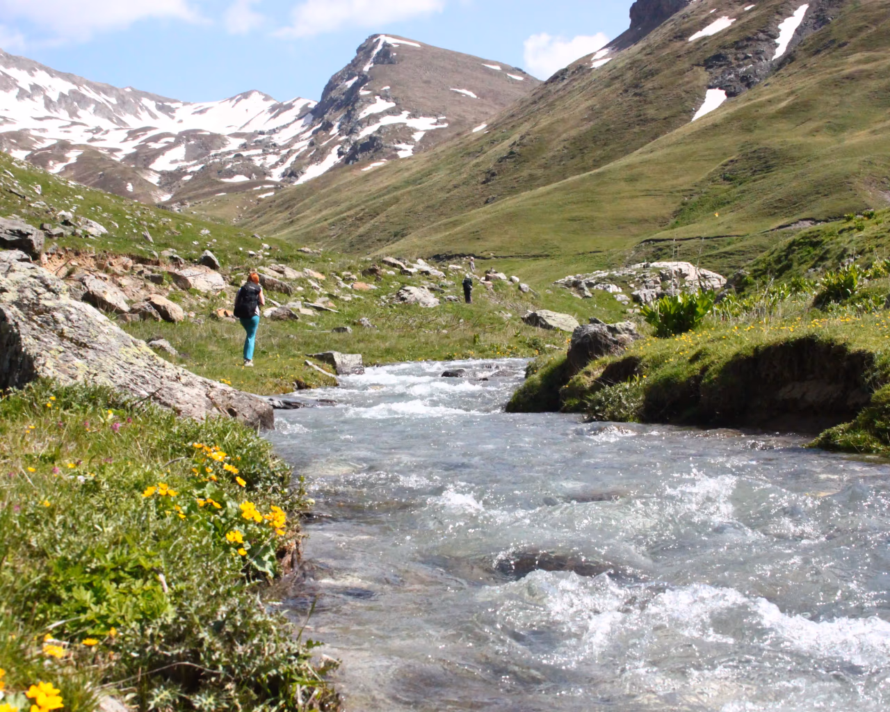 Mountain Stream High Scardus – A rushing alpine stream winds through a green valley with snowy peaks in the background.