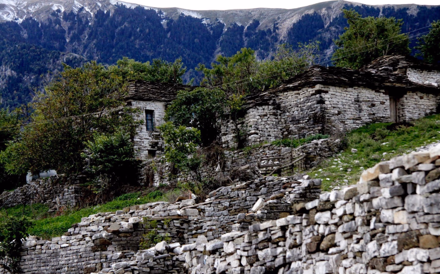 Stone houses in a remote mountain village, surrounded by lush greenery and towering peaks in the background.