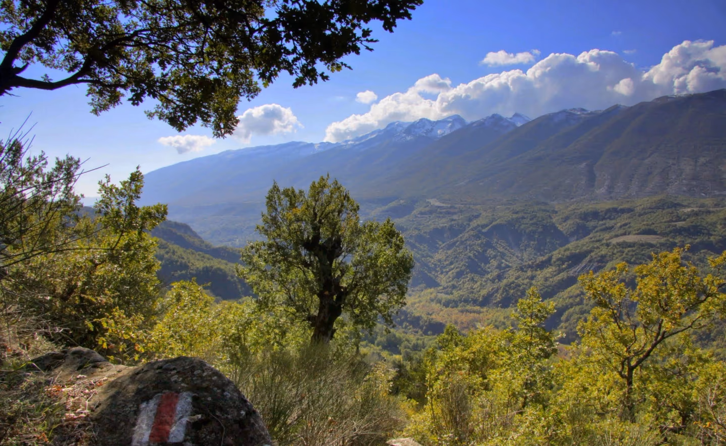 A scenic mountain view framed by trees, with a painted trail marker on a rock in the foreground.