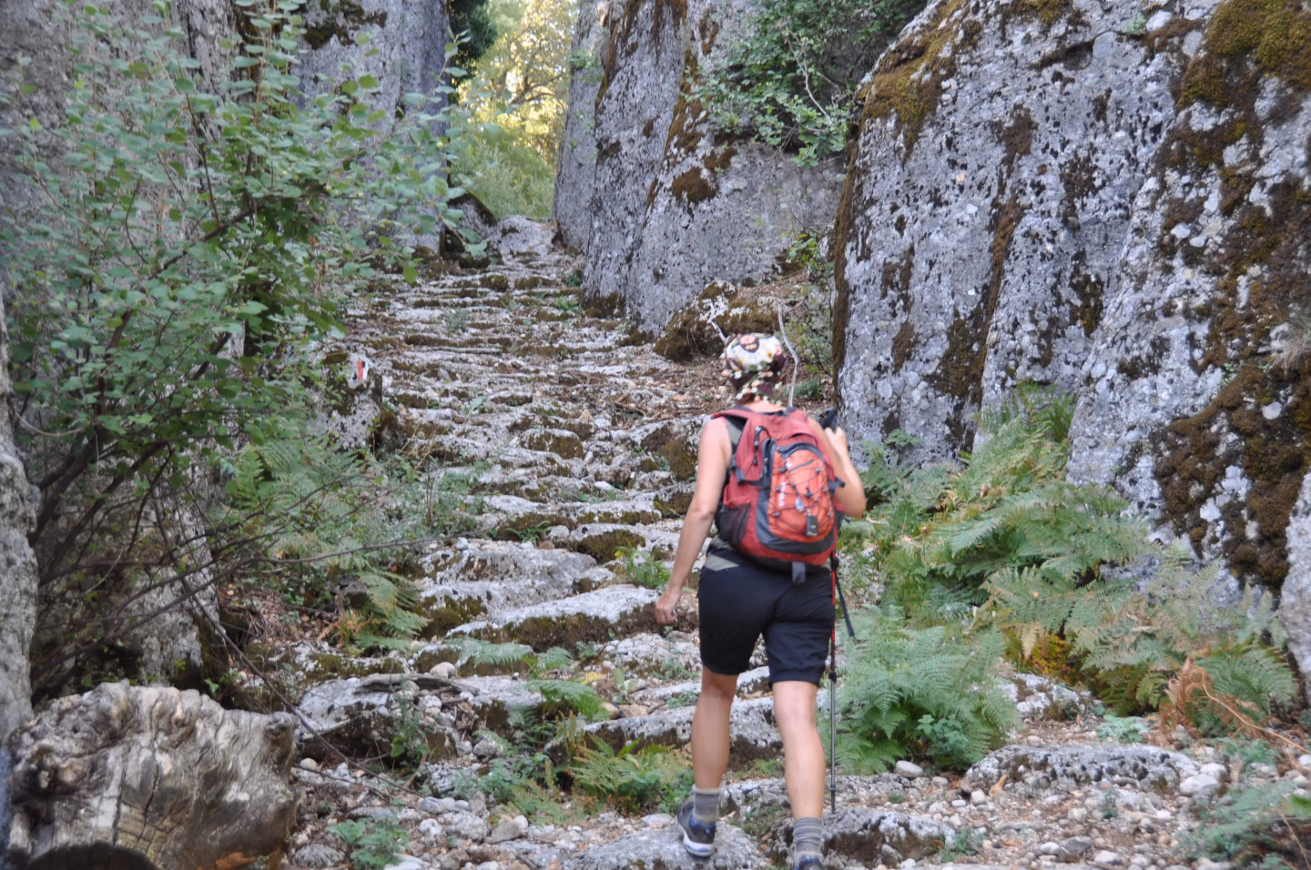 Ancient stone path – A hiker in red climbs an ancient stone pathway surrounded by lush greenery and rock formations.