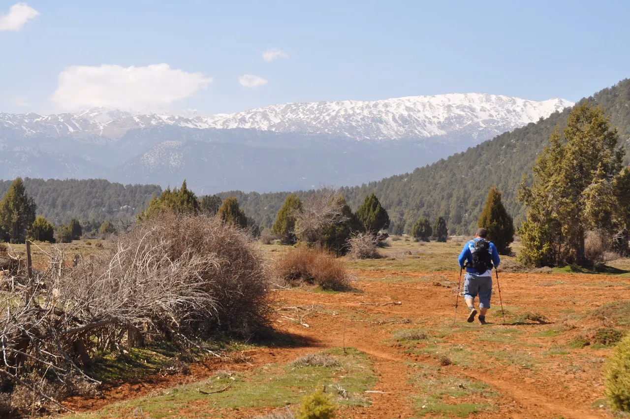 Snow-capped peaks rise beyond a hiker on a red dirt trail, surrounded by greenery on the St. Paul Trail.