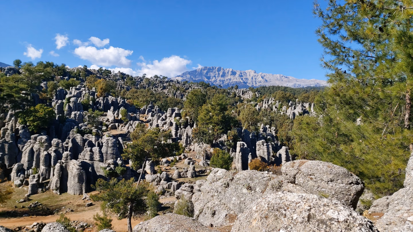 Vast rock formations – A stunning landscape of rock pillars and pine trees with distant mountains under a bright blue sky.