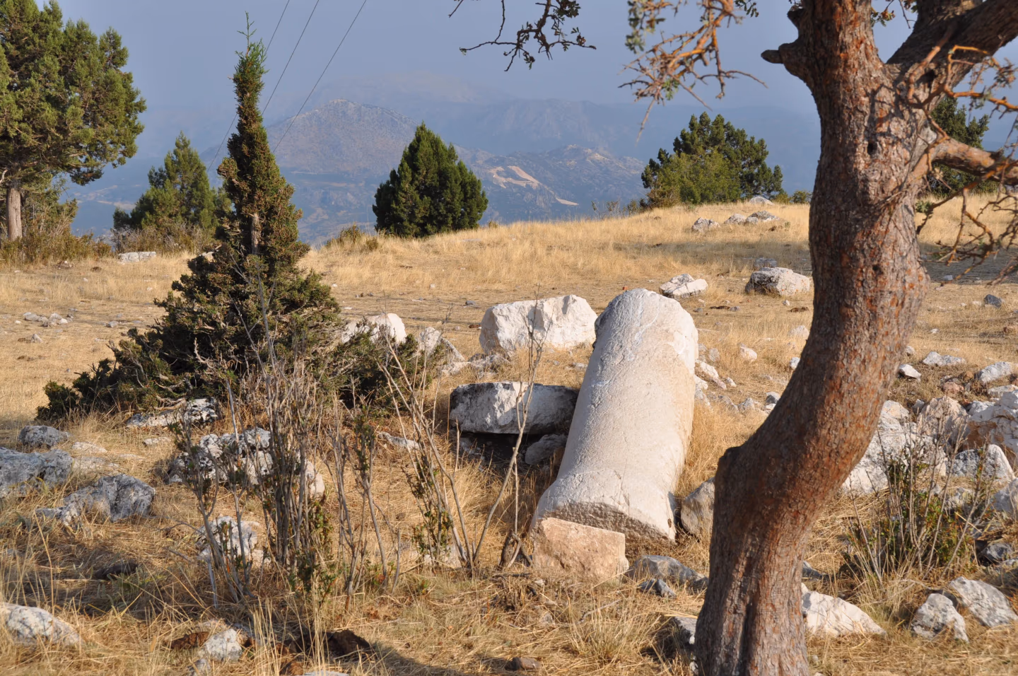 A fallen ancient column lies among dry grass and scattered trees on the St. Paul Trail.