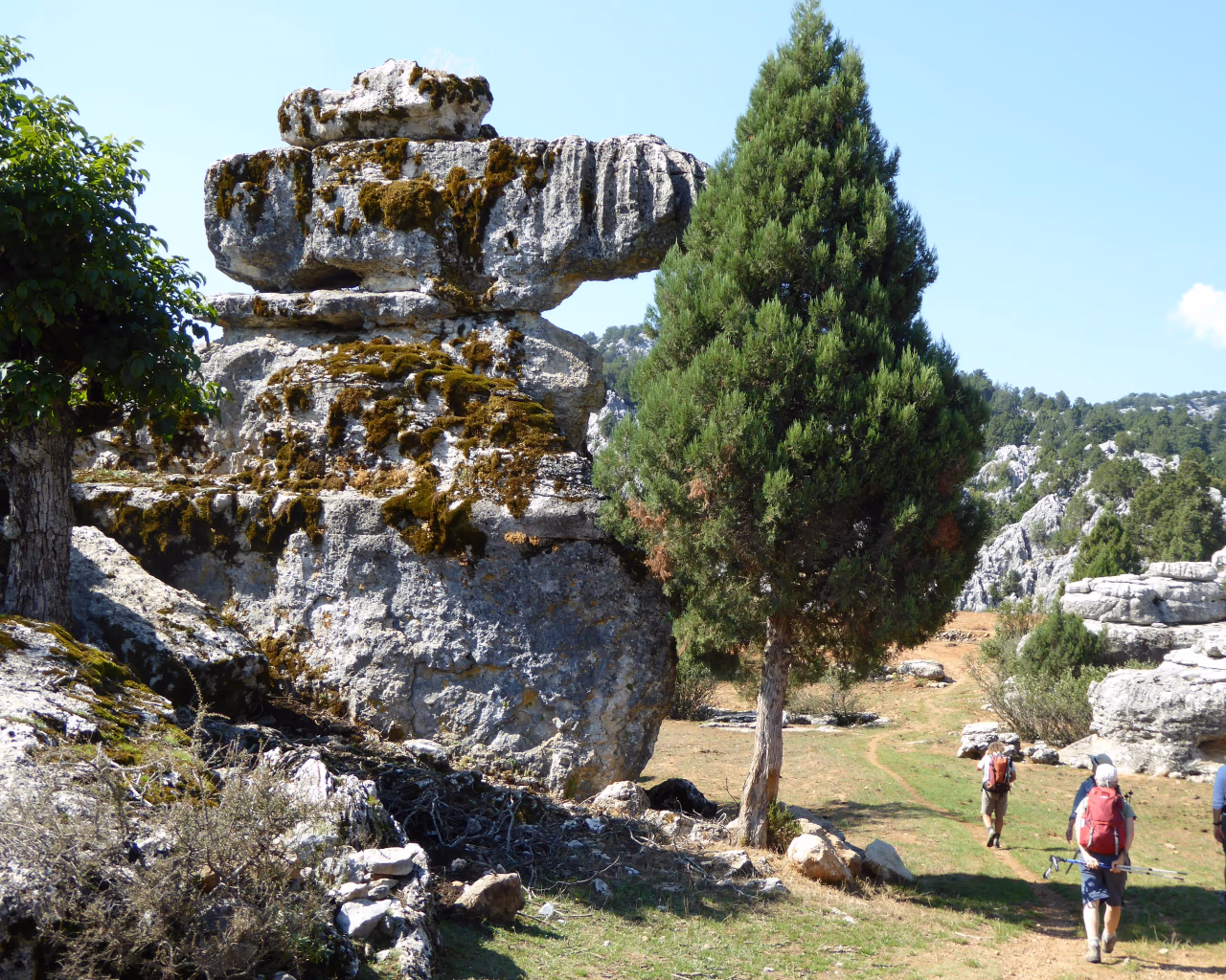 Caltepe to Selge hike – Hikers walk along a rugged trail past moss-covered rock formations and pine trees in Turkey.