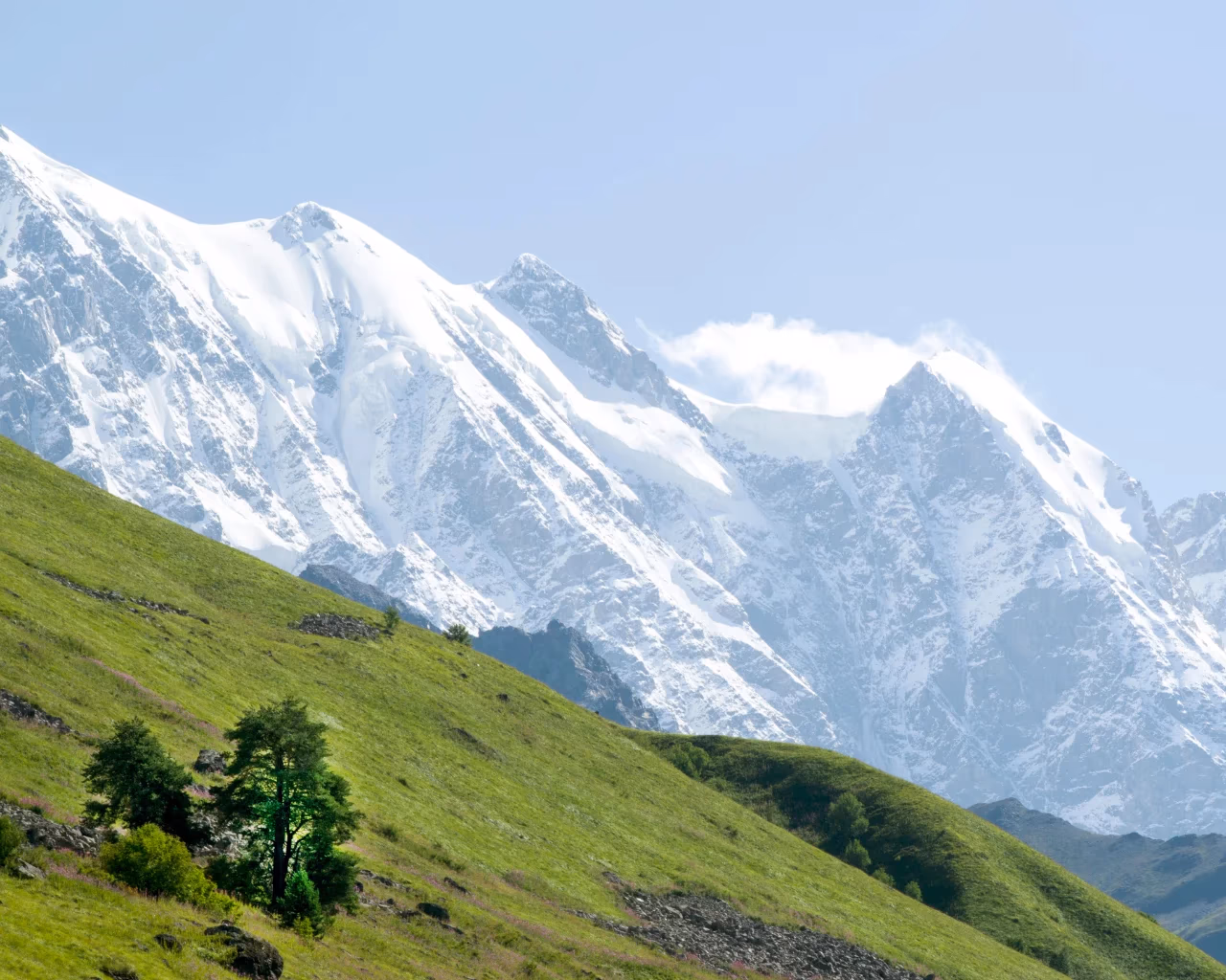 A bright green hillside contrasts with massive snow-covered mountains under a clear sky in Svaneti, Georgia.