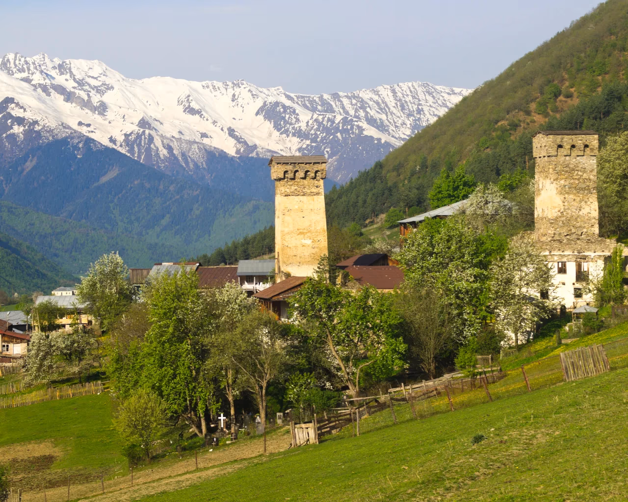 Two medieval Svan towers stand tall among blossoming trees in a village, with snow-capped mountains in the distance.