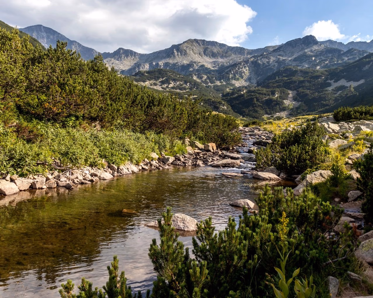 A mountain river flows through lush greenery in Pirin Mountain, Bulgaria, with scenic peaks in the background.