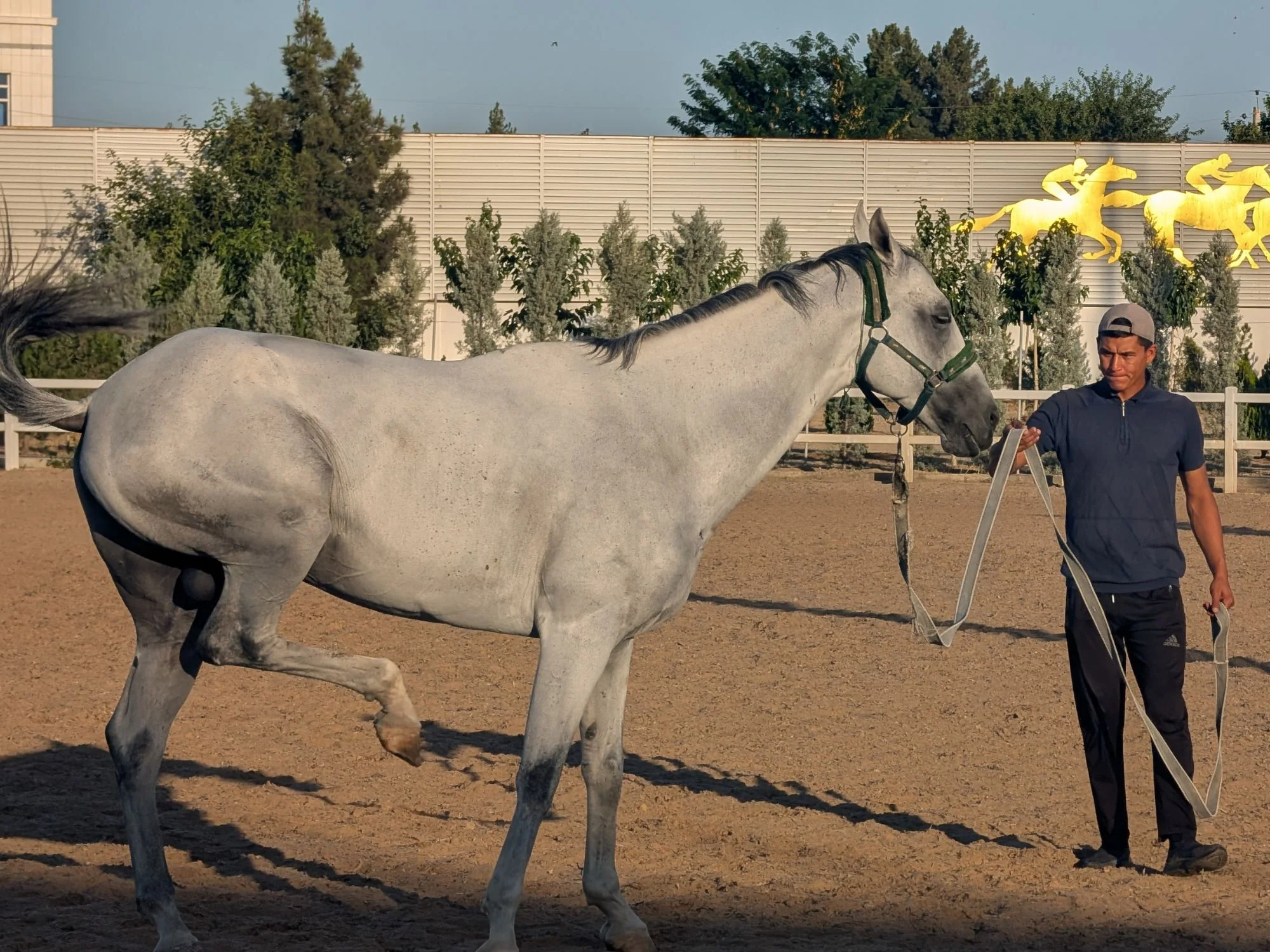 Handler walking a grey Akhal-Teke past golden horse-and-rider sculptures at the Ashgabat equestrian centre