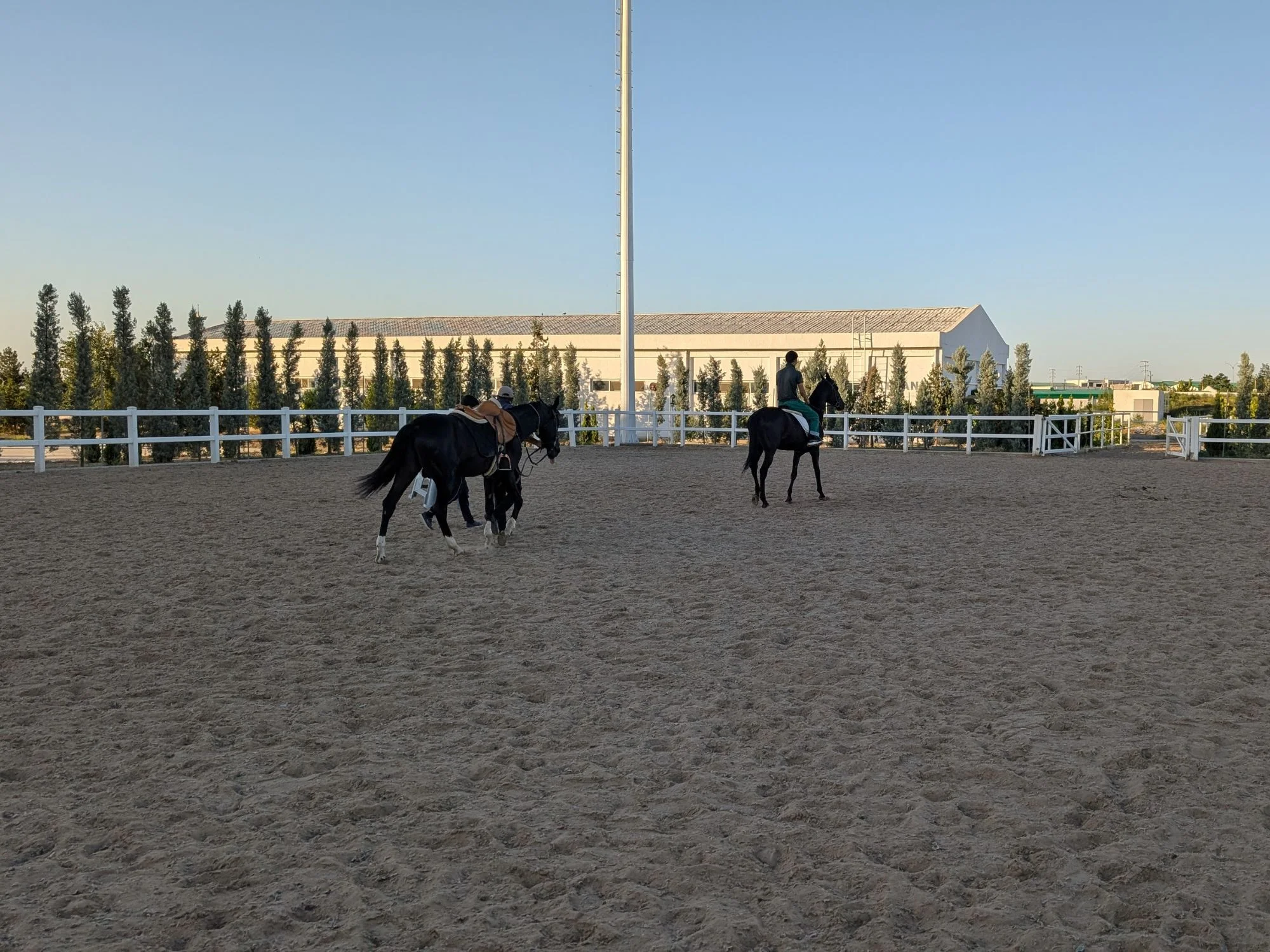 Riders on black Akhal-Teke horses in the sand arena of an Ashgabat equestrian centre, Turkmenistan