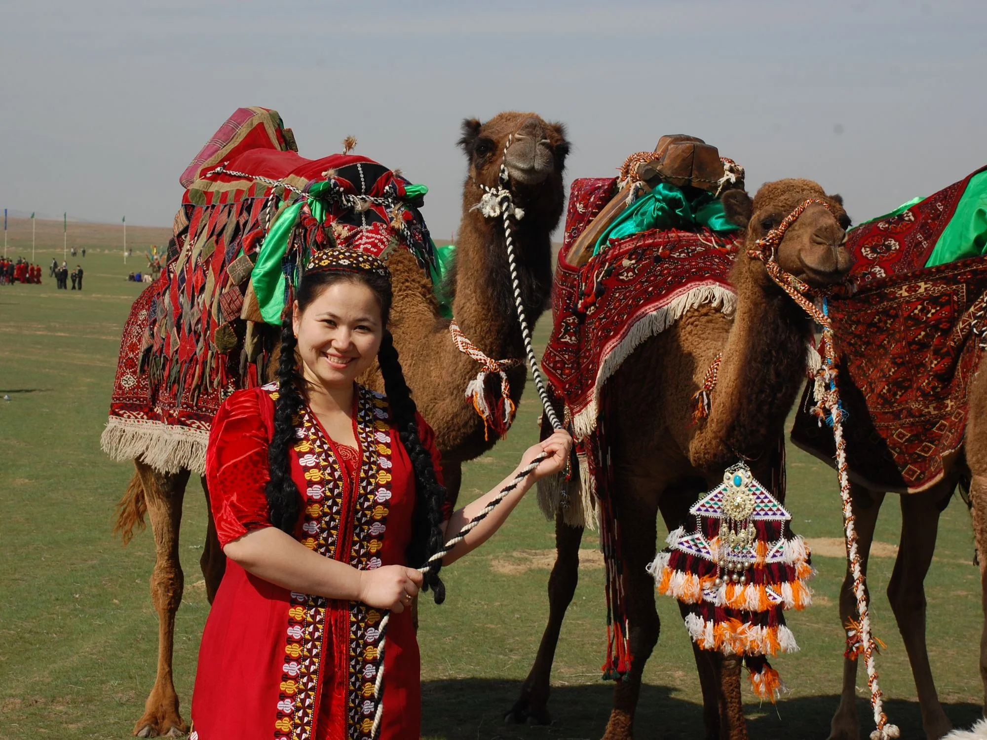 Woman in a red embroidered Turkmen dress holding decorated Bactrian camels at a Novruz festival