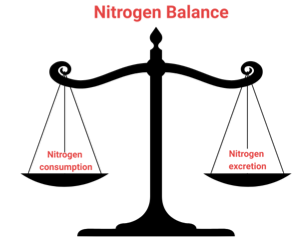 A black scale with red textAI-generated content may be incorrect.