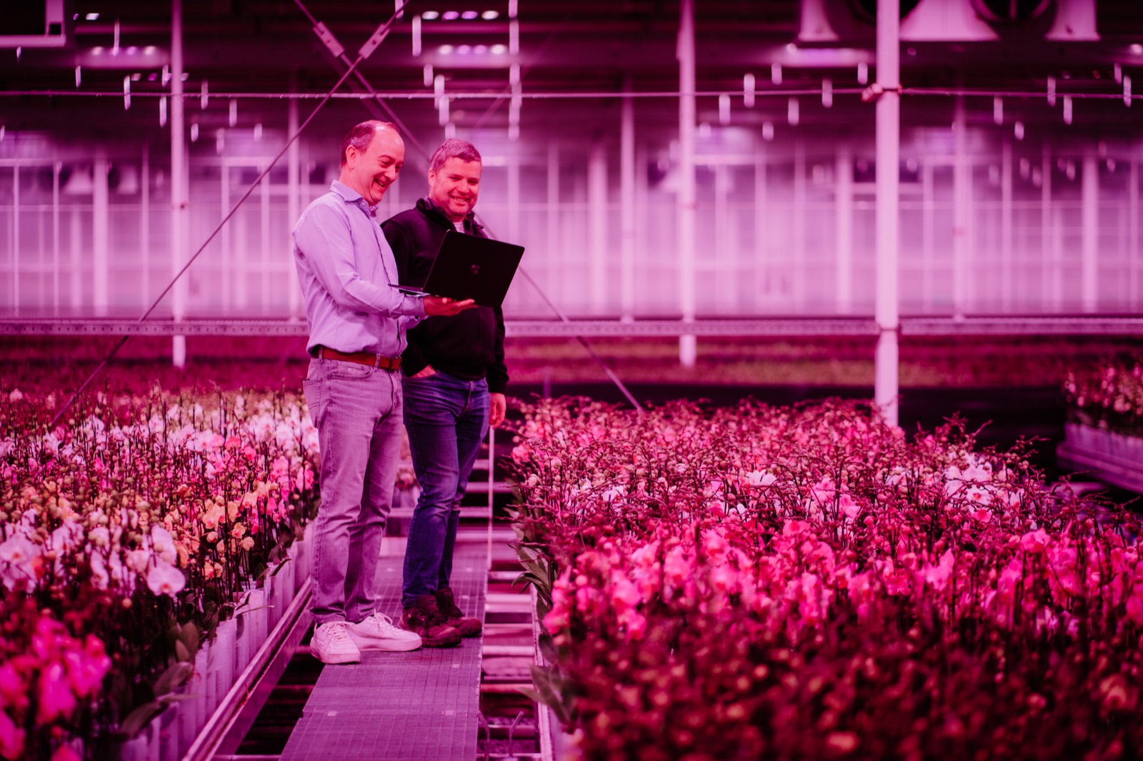 Marcel en Heimen samen tussen de orchideeën bij CJ Orchids