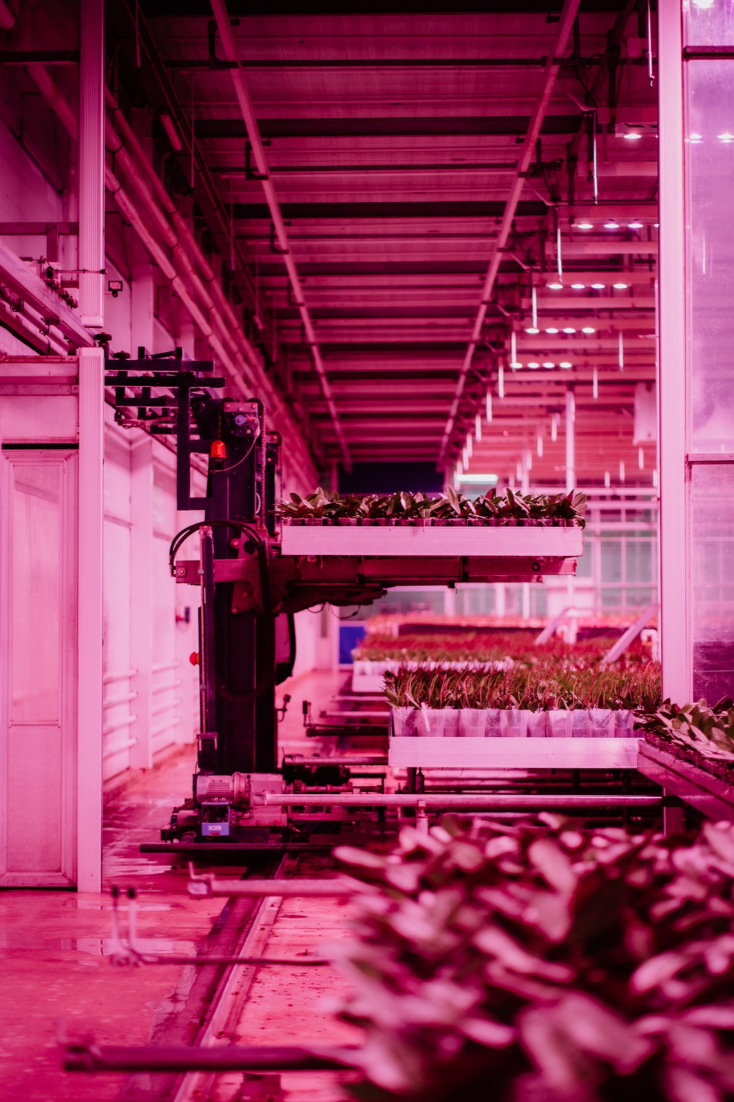Automatisering in de kas bij CJ Orchids