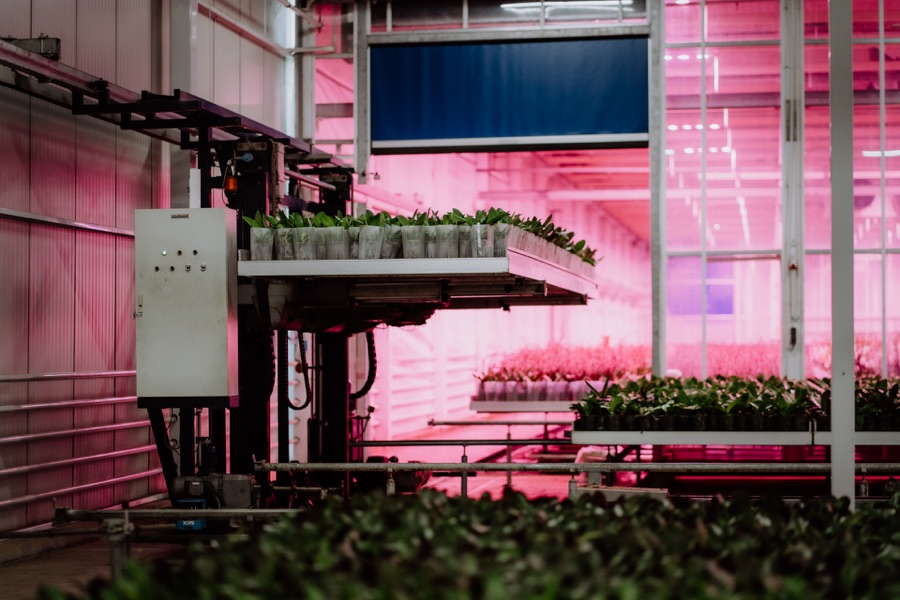 Geautomatiseerde kweektafels bij CJ Orchids