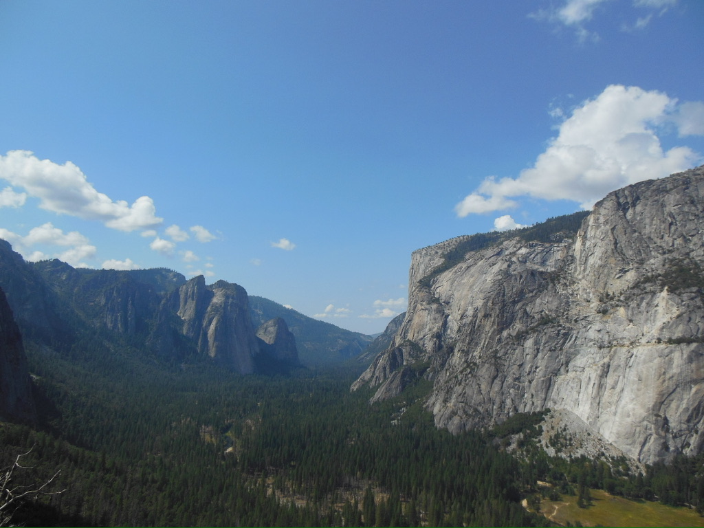 Wide valley view with dense pine forest beneath steep granite cliffs under a blue sky with scattered clouds.