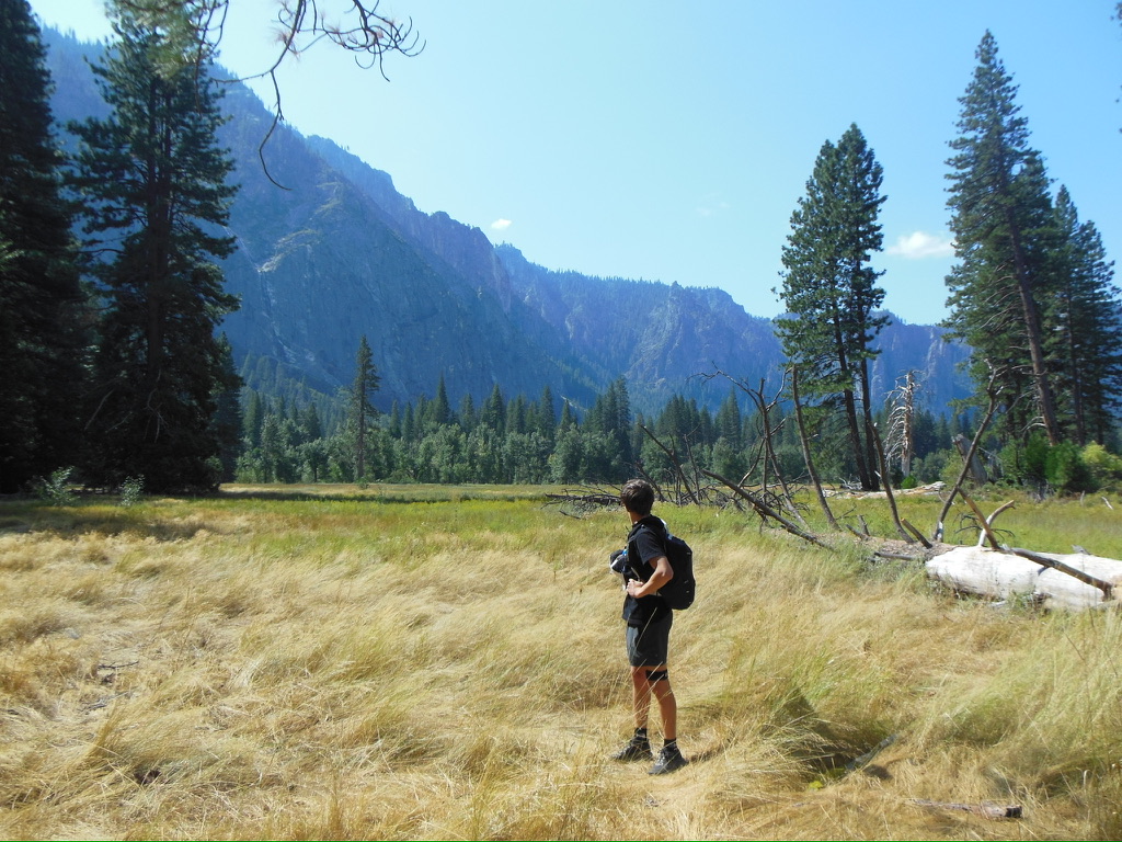 Person with backpack standing in a grassy meadow looking at forested mountains under a clear blue sky.