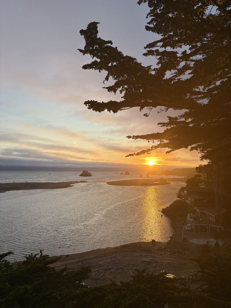 Sun setting over a coastal inlet with silhouetted trees and rocky islands reflecting on the water.