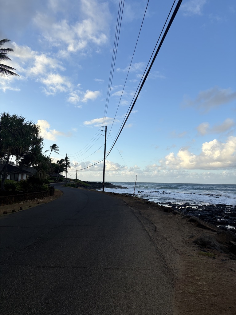 Curved coastal road lined with palm trees and telephone poles beside a rocky shoreline and ocean under a blue sky with scattered clouds.