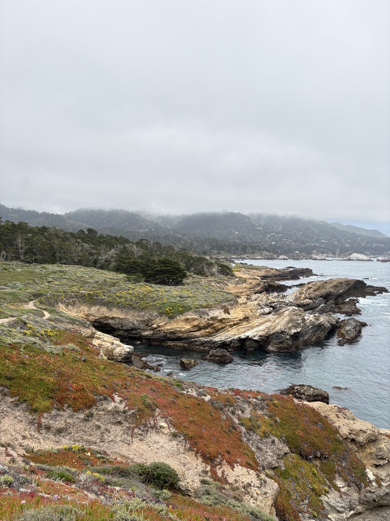 Rocky coastline with patches of colorful vegetation, evergreen trees, and mist-covered hills in the background under an overcast sky.