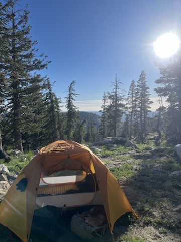 Orange camping tent pitched in a forest clearing with tall trees under a bright sun and clear blue sky.